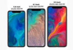 苹果价格最新爆料图今天,行情波动，市场动态一览